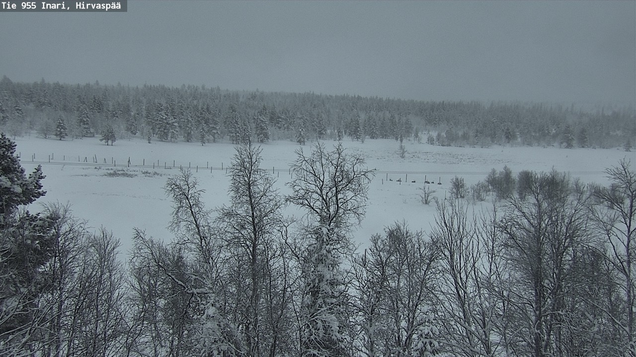 Kelikamerat Kuva Tie 955 Inari, Hirvaspää, Inari, Lappi