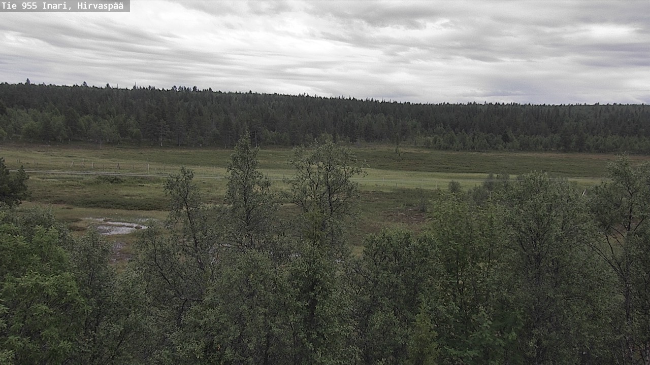 Kelikamerat Kuva Tie 955 Inari, Hirvaspää, Inari, Lappi
