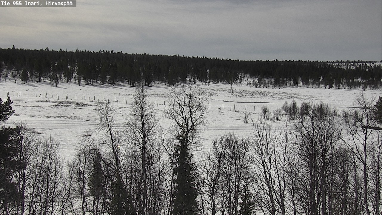 Weather Camera Image Väg 955 Enare, Hirvaspää, Inari, Lappi