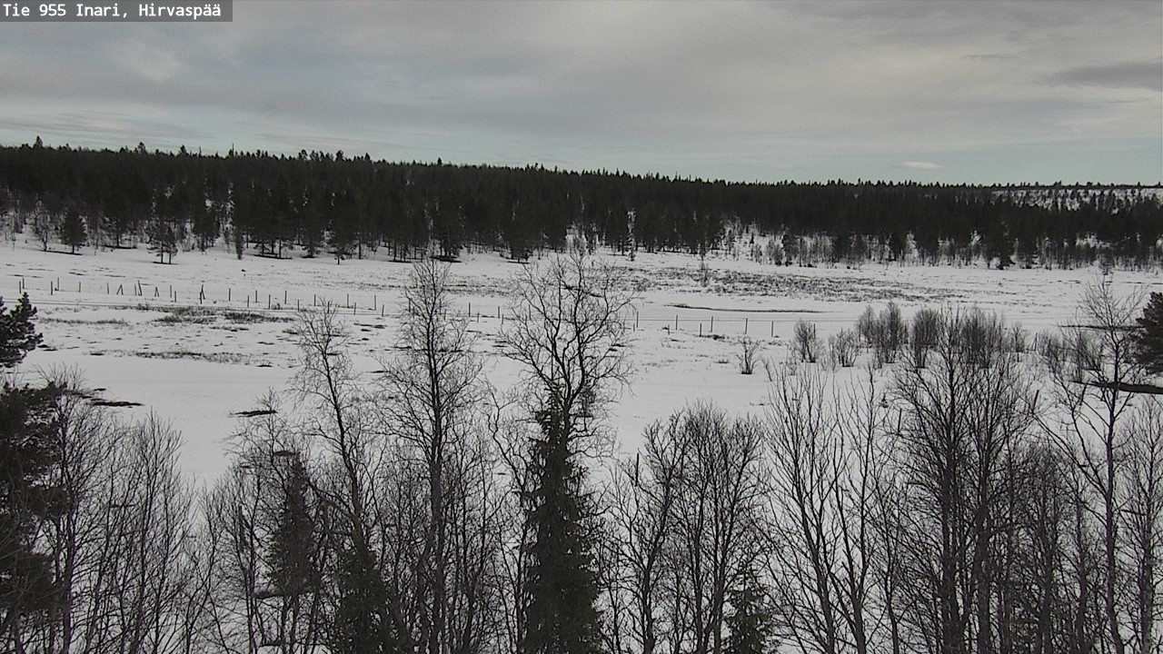 Weather Camera Image Väg 955 Enare, Hirvaspää, Inari, Lappi