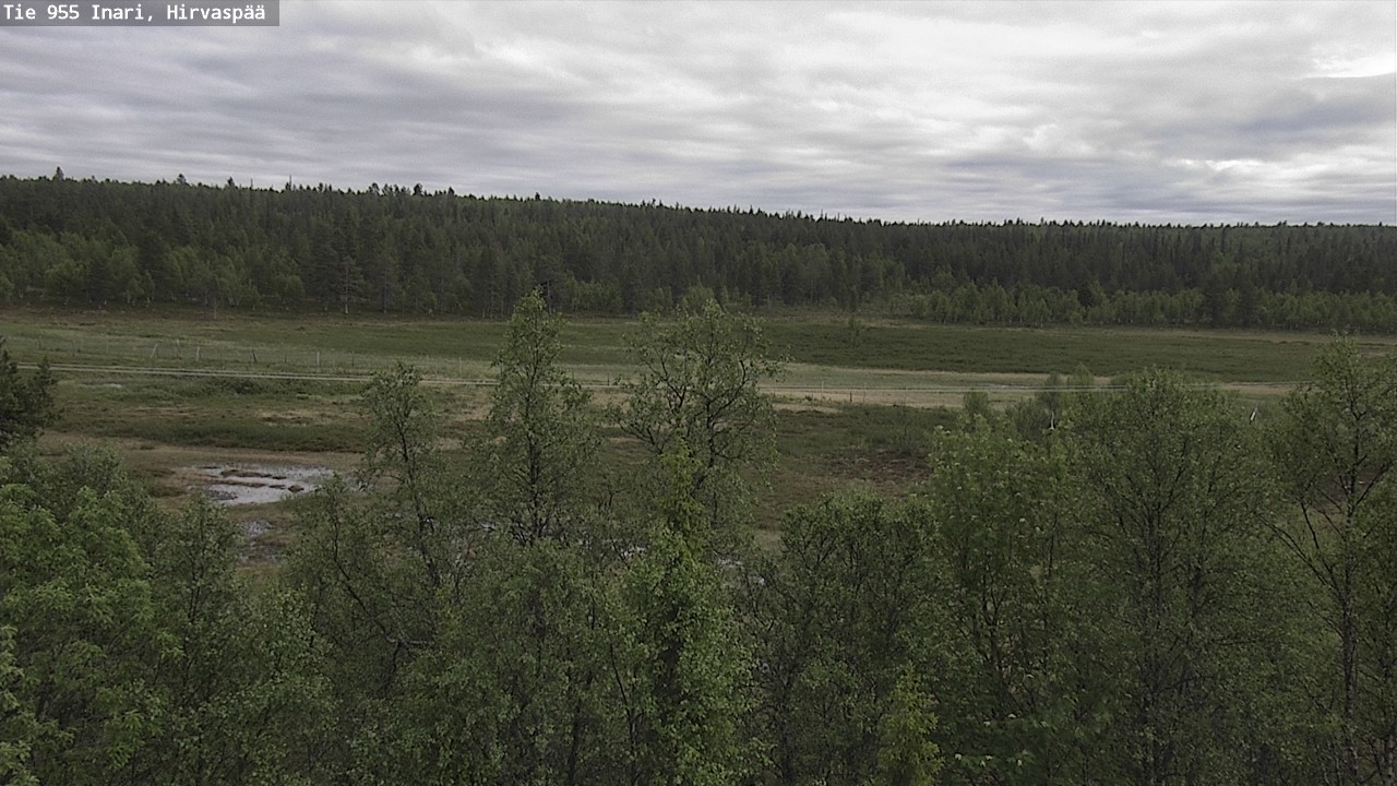 Kelikamerat Kuva Tie 955 Inari, Hirvaspää, Inari, Lappi