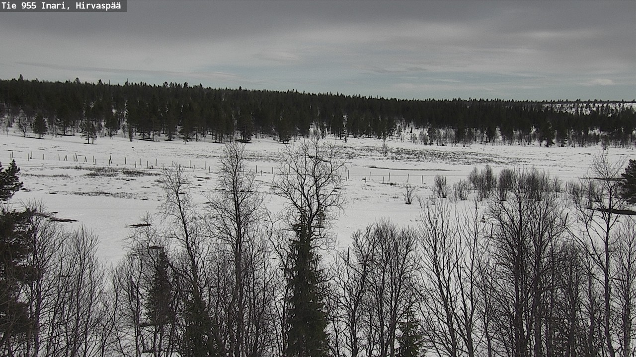 Weather Camera Image Väg 955 Enare, Hirvaspää, Inari, Lappi