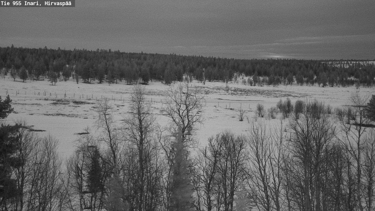 Weather Camera Image Road 955 Inari, Hirvaspää, Inari, Lappi