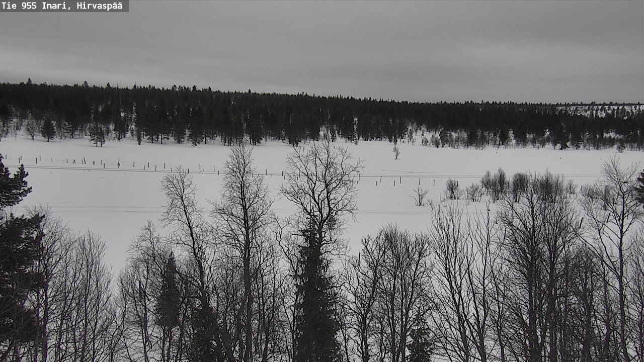 Kelikamerat Kuva Tie 955 Inari, Hirvaspää, Inari, Lappi