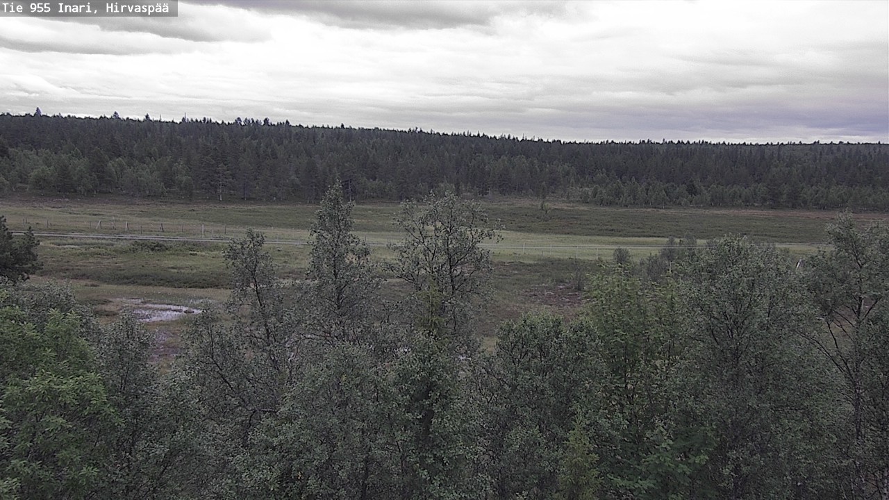 Kelikamerat Kuva Tie 955 Inari, Hirvaspää, Inari, Lappi