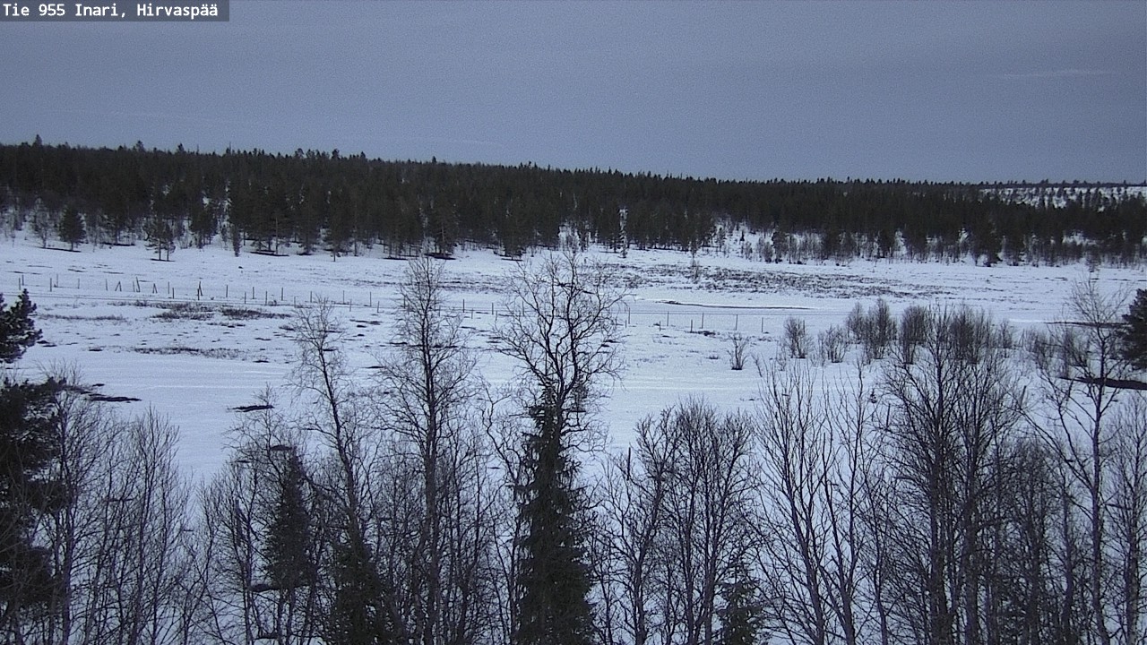 Weather Camera Image Road 955 Inari, Hirvaspää, Inari, Lappi