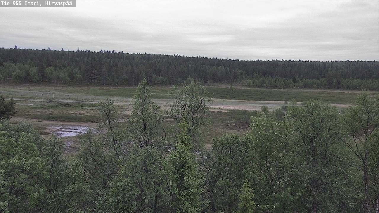 Kelikamerat Kuva Tie 955 Inari, Hirvaspää, Inari, Lappi
