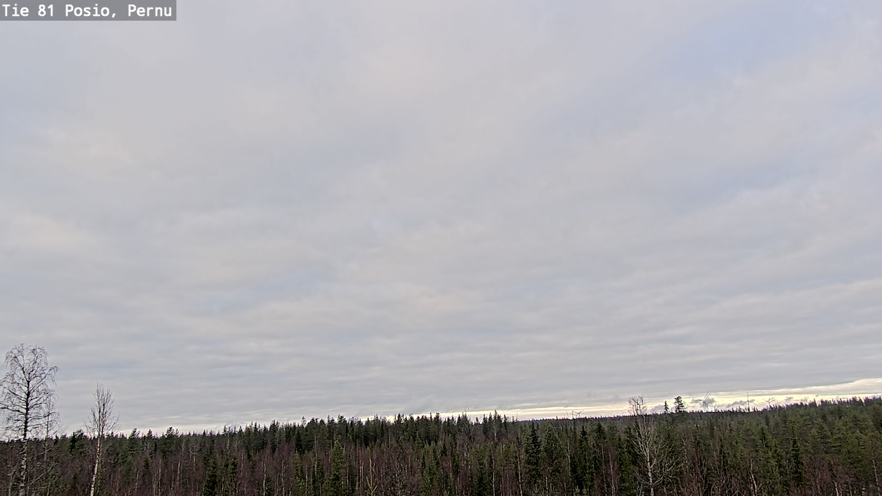 Kelikamerat Kuva Tie 81 Posio, Pernu, Posio, Lappi