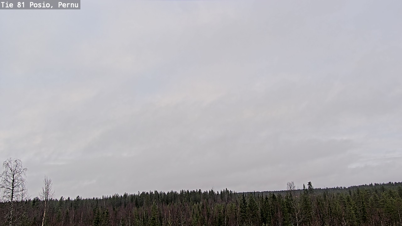 Kelikamerat Kuva Tie 81 Posio, Pernu, Posio, Lappi