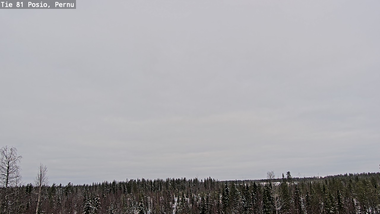 Kelikamerat Kuva Tie 81 Posio, Pernu, Posio, Lappi