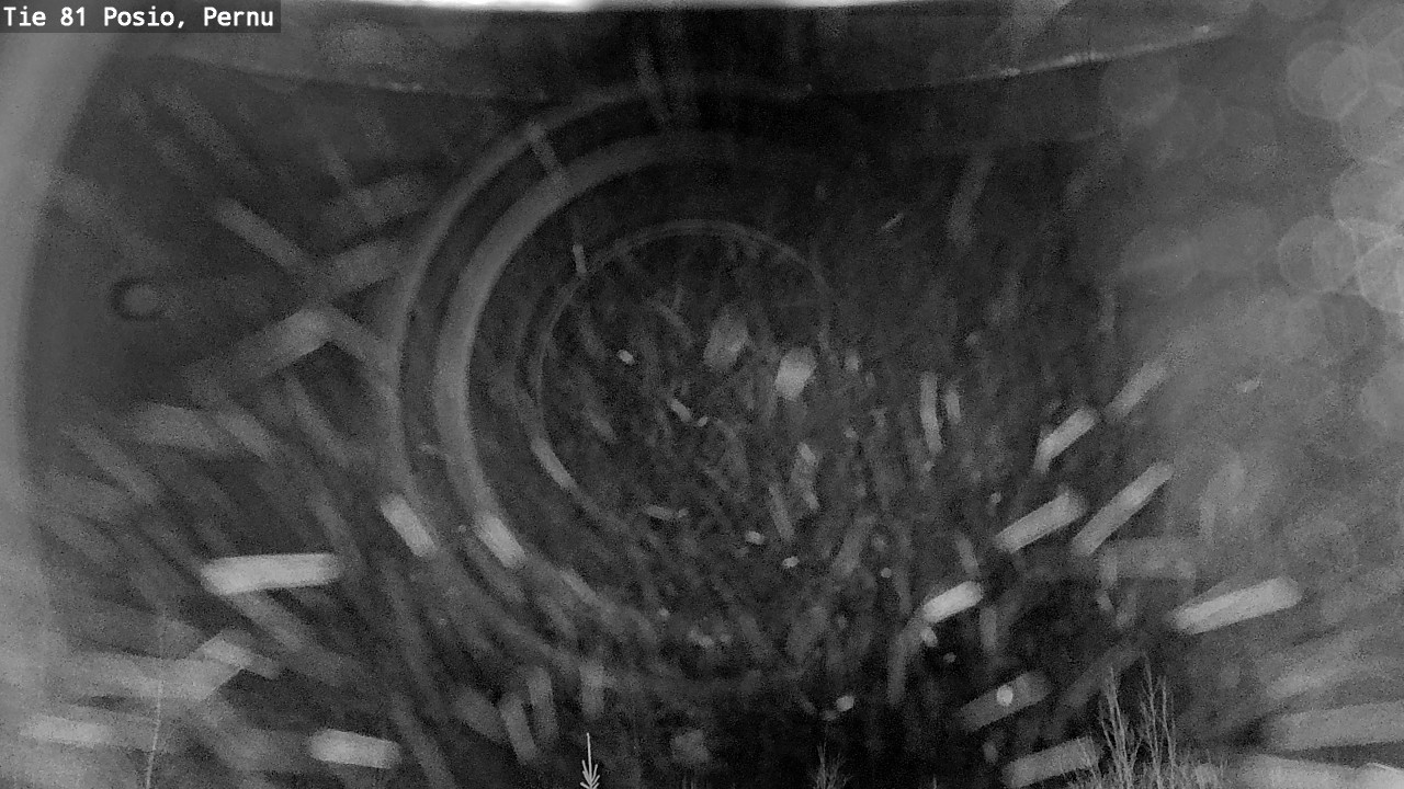 Weather Camera Image Väg 81 Posio, Pernu, Posio, Lappi