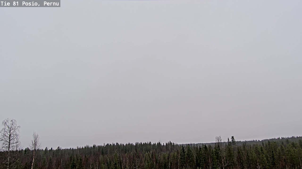 Kelikamerat Kuva Tie 81 Posio, Pernu, Posio, Lappi