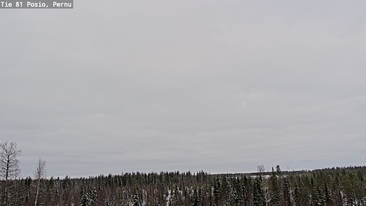 Kelikamerat Kuva Tie 81 Posio, Pernu, Posio, Lappi