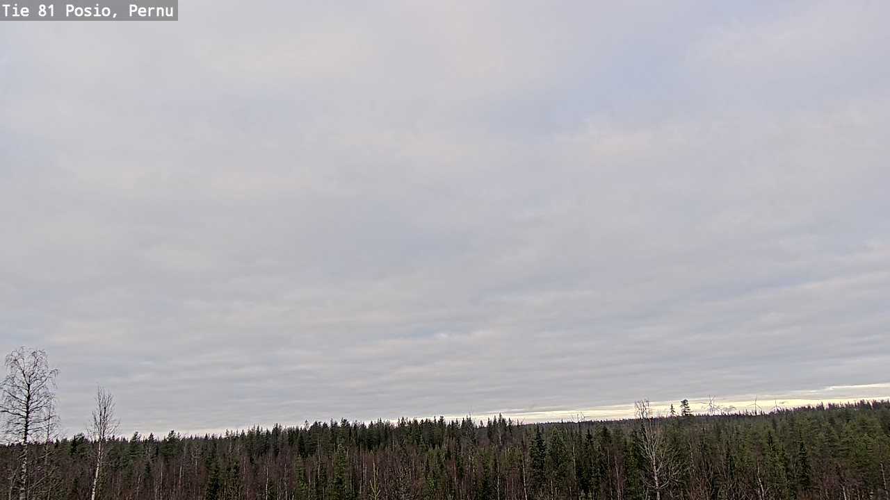 Kelikamerat Kuva Tie 81 Posio, Pernu, Posio, Lappi