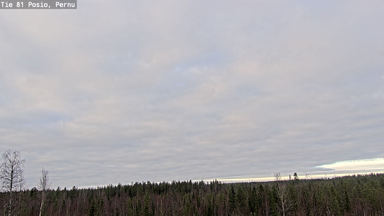 Kelikamerat Kuva Tie 81 Posio, Pernu, Posio, Lappi