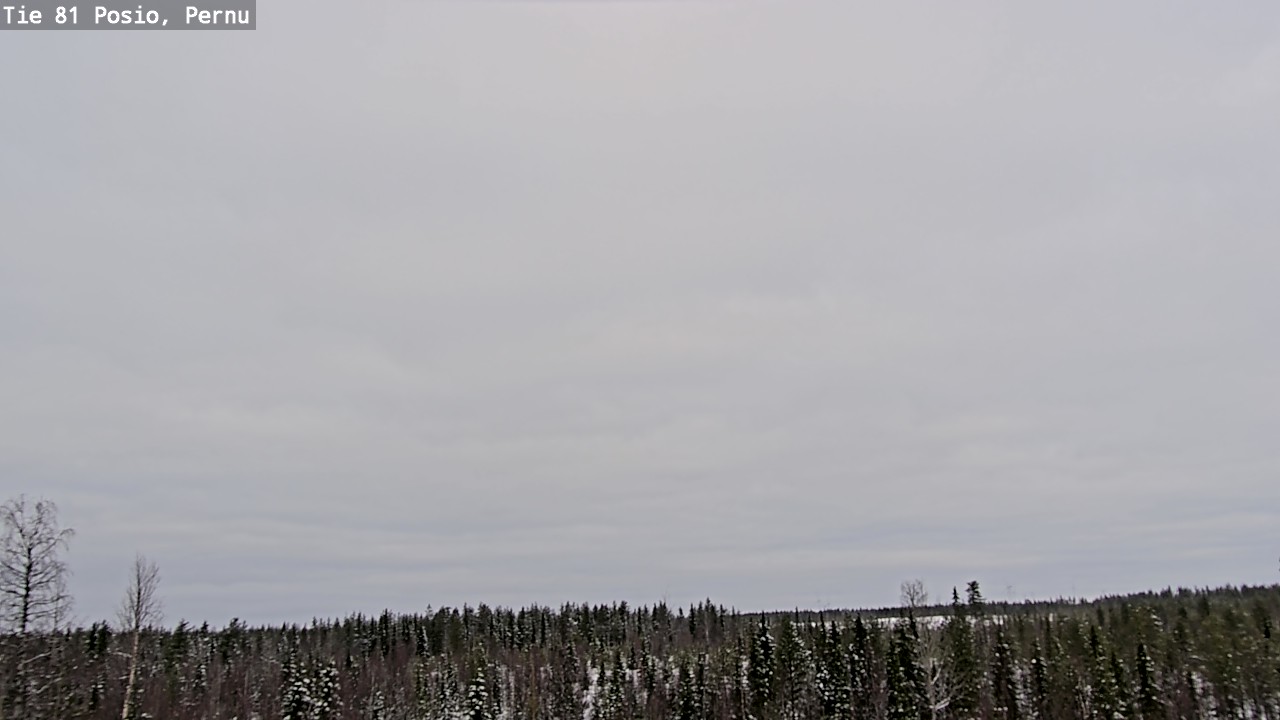 Kelikamerat Kuva Tie 81 Posio, Pernu, Posio, Lappi