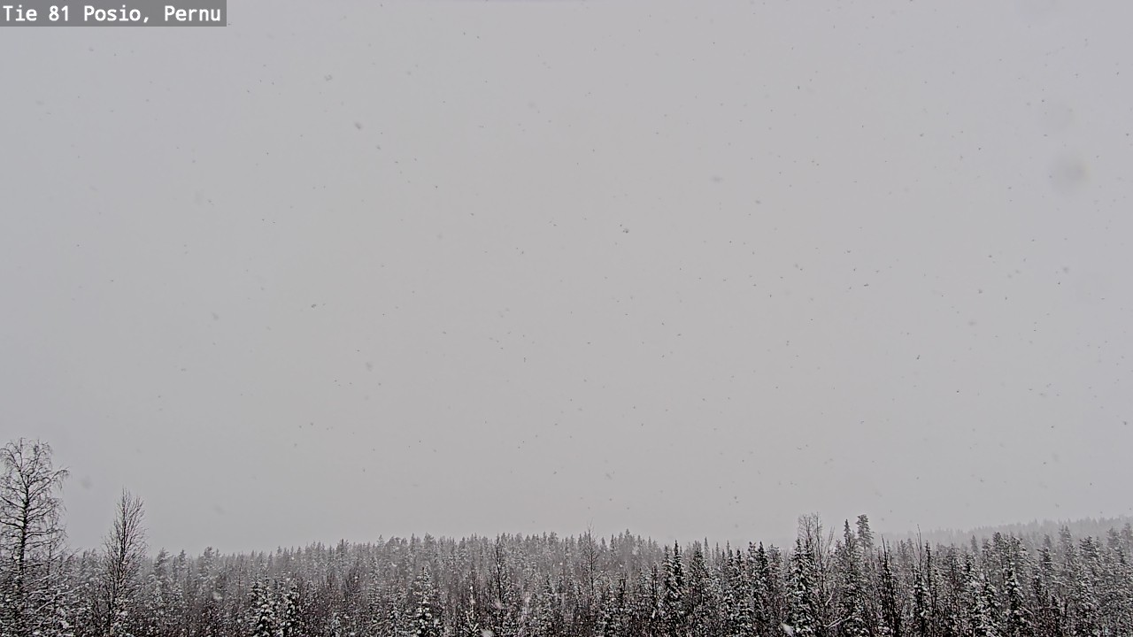 Kelikamerat Kuva Tie 81 Posio, Pernu, Posio, Lappi