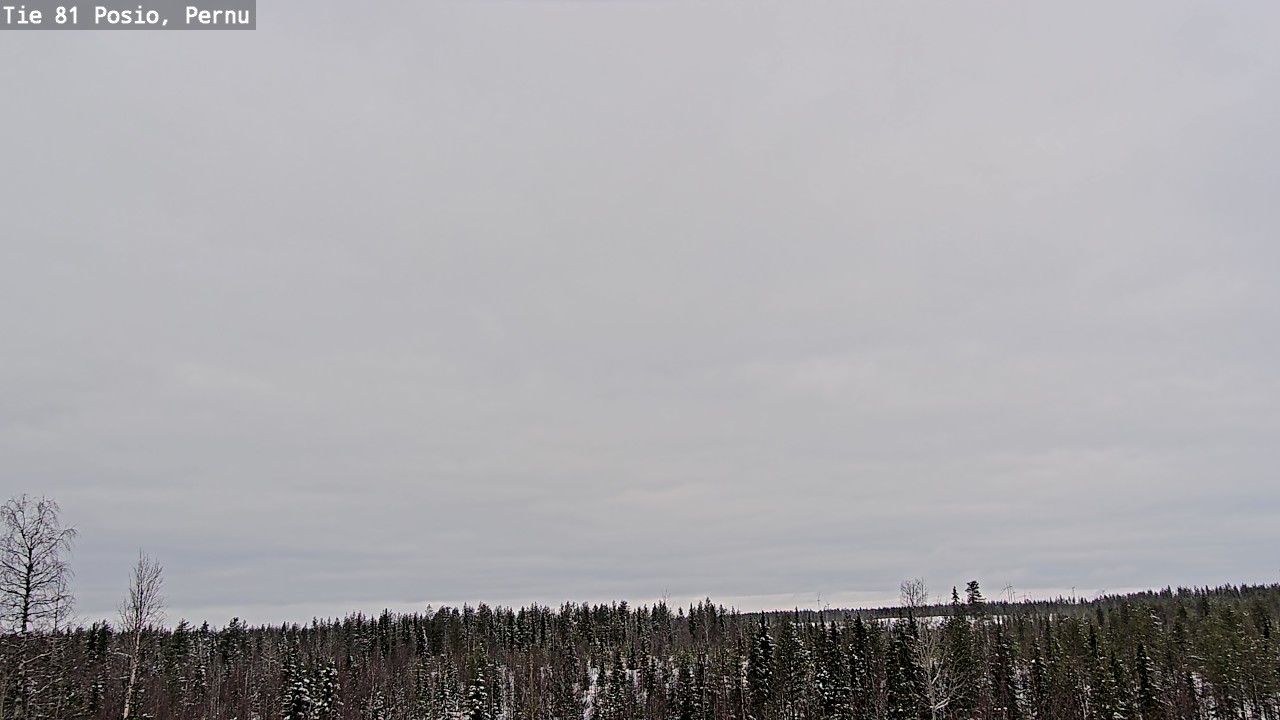 Kelikamerat Kuva Tie 81 Posio, Pernu, Posio, Lappi