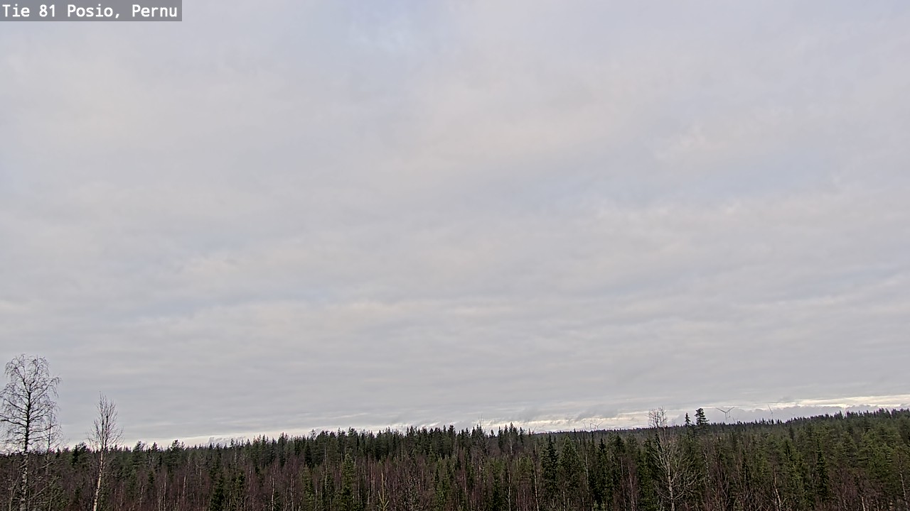 Kelikamerat Kuva Tie 81 Posio, Pernu, Posio, Lappi