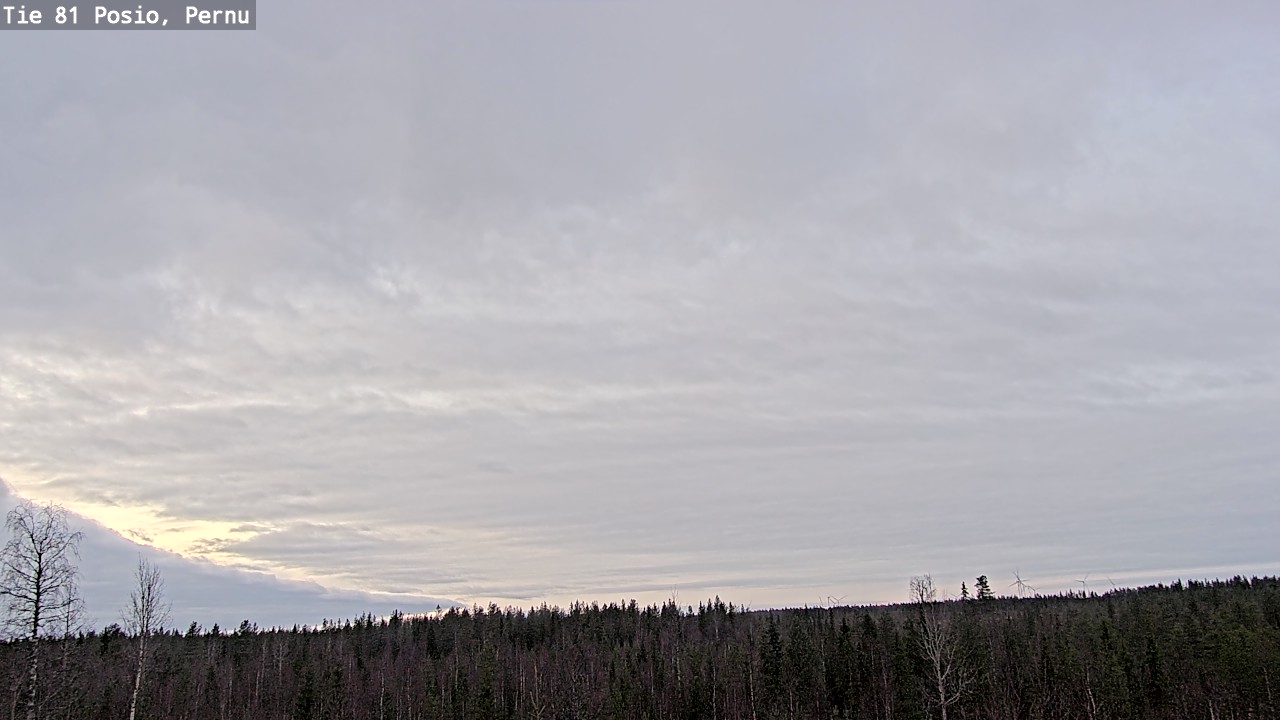 Kelikamerat Kuva Tie 81 Posio, Pernu, Posio, Lappi