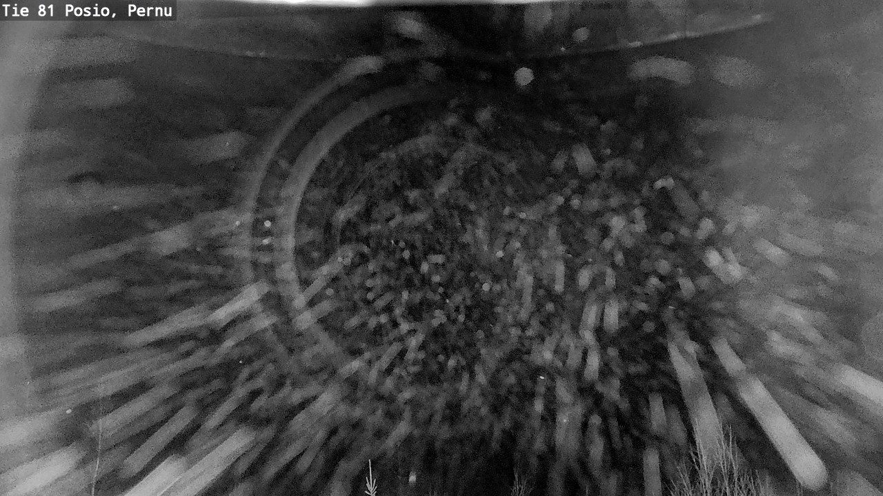 Weather Camera Image Väg 81 Posio, Pernu, Posio, Lappi