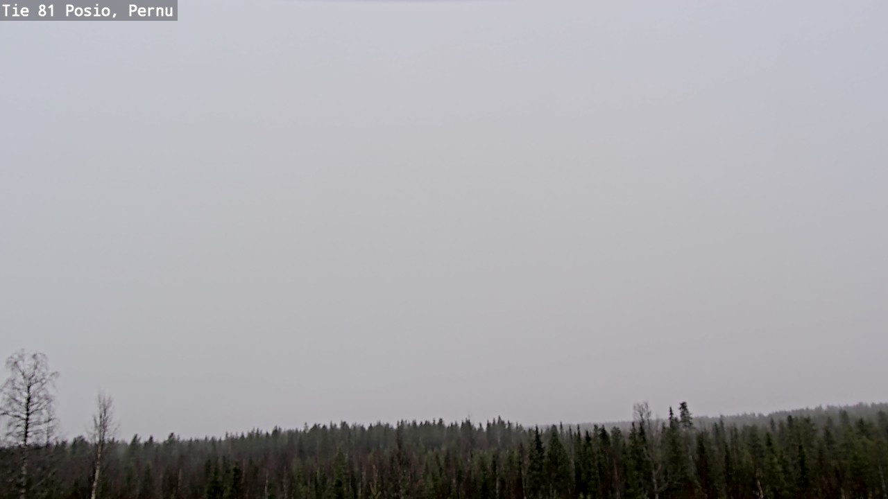 Kelikamerat Kuva Tie 81 Posio, Pernu, Posio, Lappi