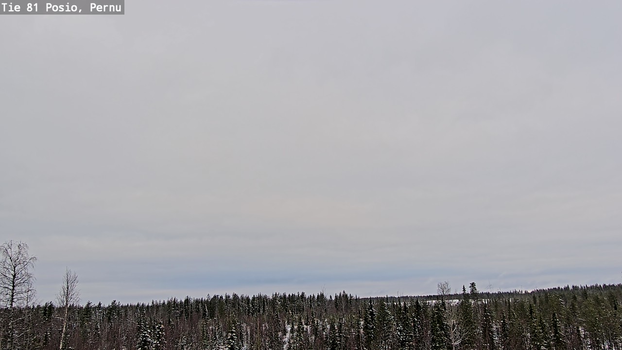 Kelikamerat Kuva Tie 81 Posio, Pernu, Posio, Lappi