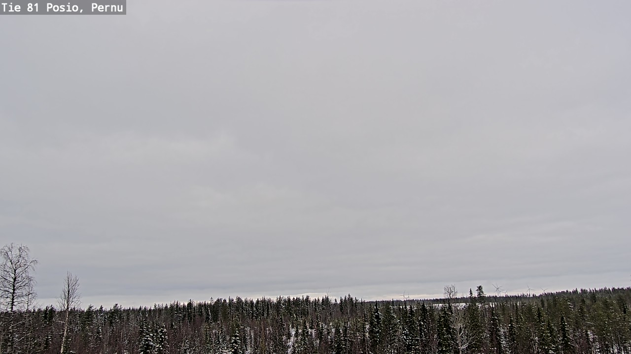 Kelikamerat Kuva Tie 81 Posio, Pernu, Posio, Lappi