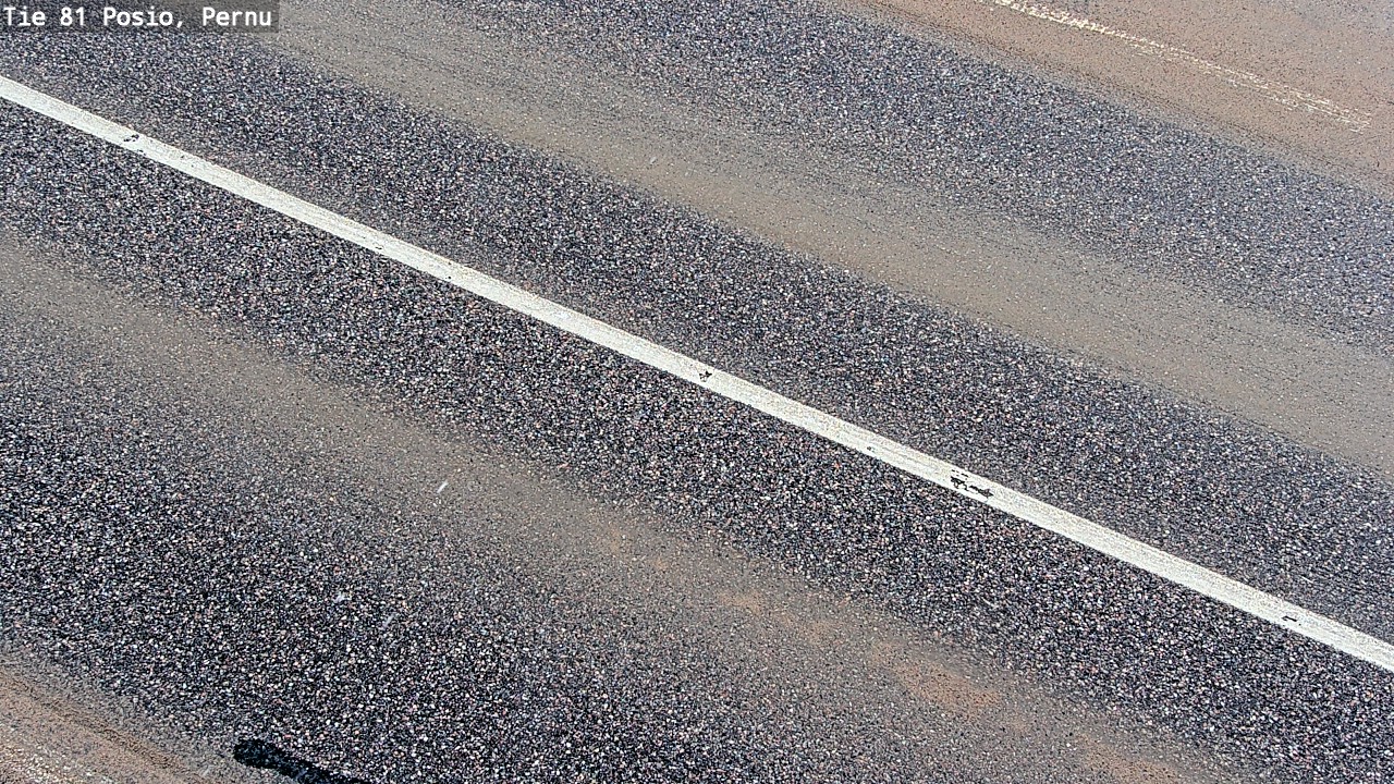 Kelikamerat Kuva Tie 81 Posio, Pernu, Posio, Lappi