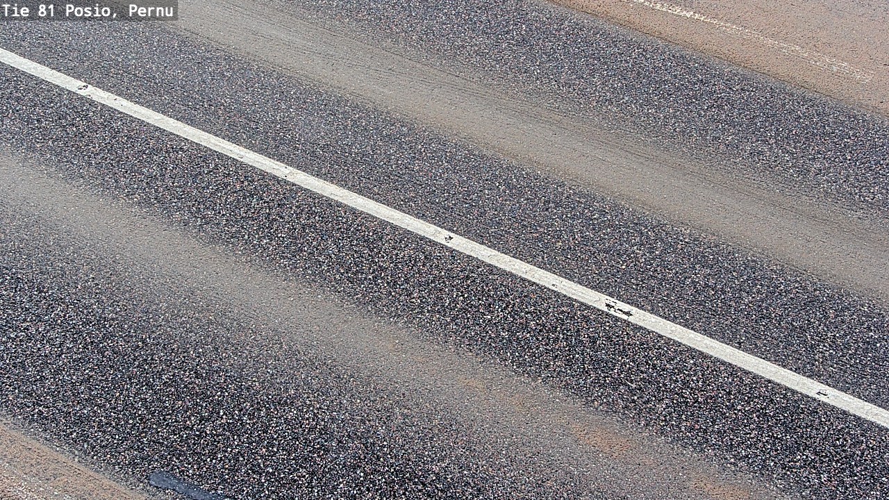 Kelikamerat Kuva Tie 81 Posio, Pernu, Posio, Lappi