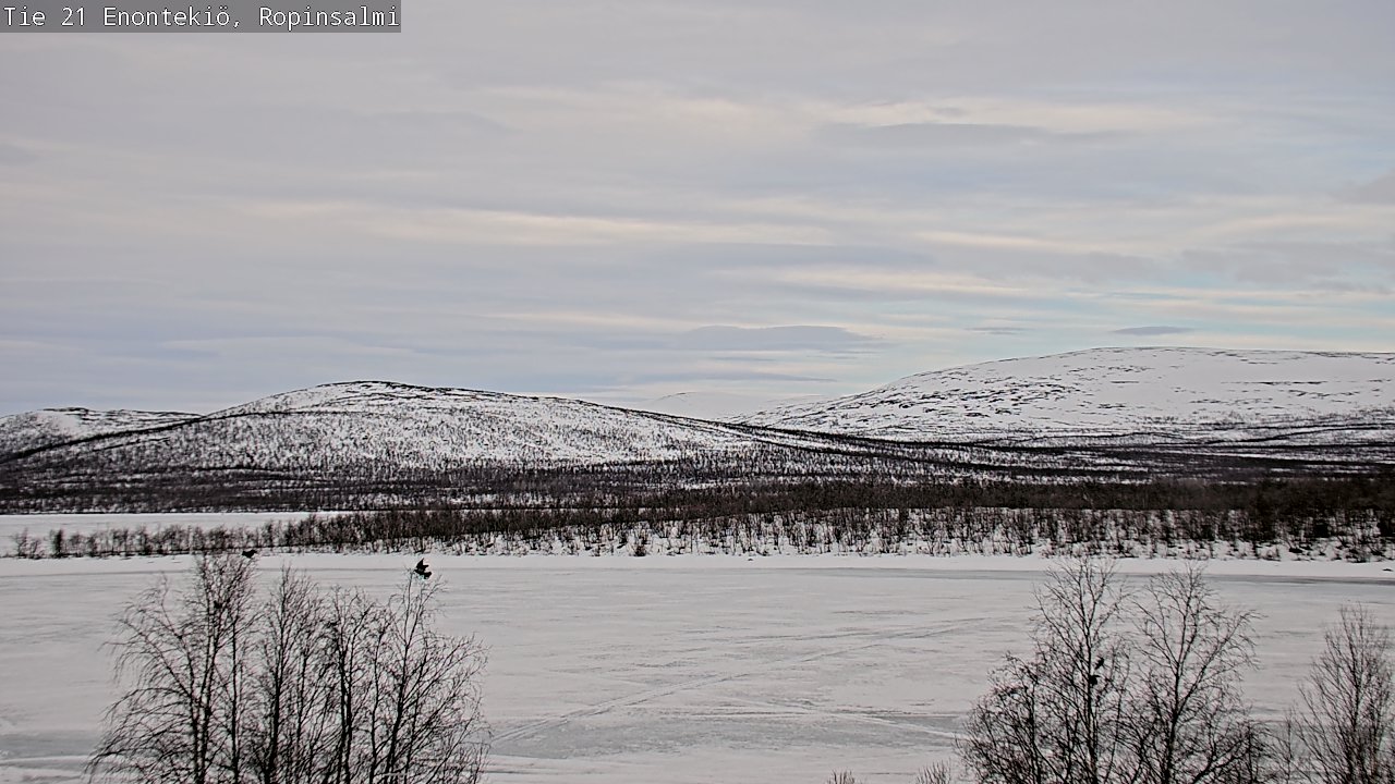 Weather Camera Image Road 21 Enontekiö, Ropinsalmi, Enontekiö, Lappi