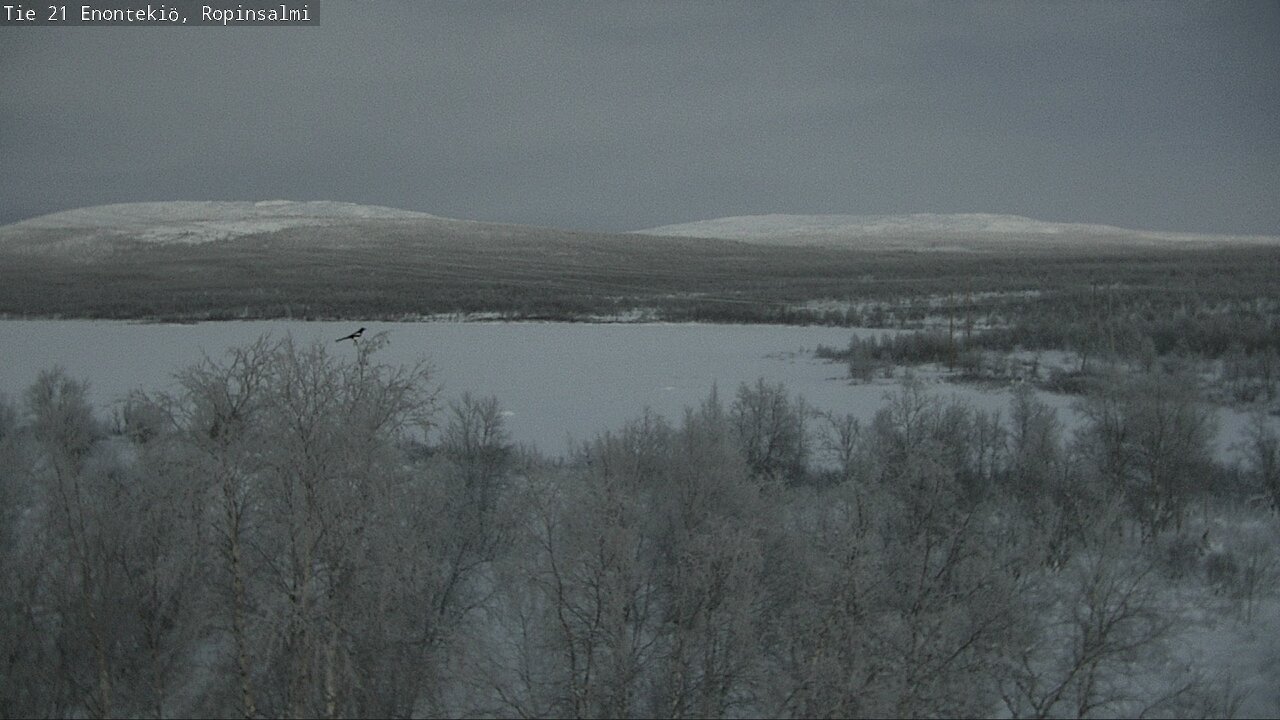 Weather Camera Image Road 21 Enontekiö, Ropinsalmi, Enontekiö, Lappi