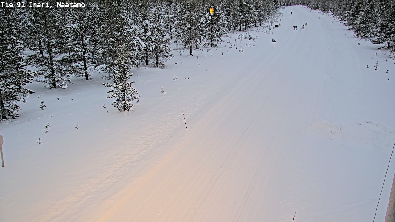 Weather Camera Image Väg 92 Enare, Näätämö, Inari, Lappi