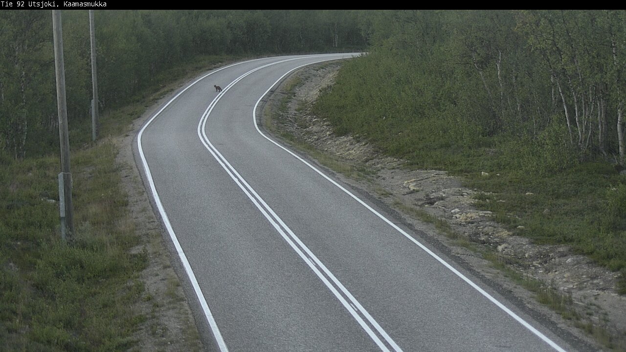 Kelikamerat Kuva Tie 92 Utsjoki, Kaamasmukka, Utsjoki, Lappi