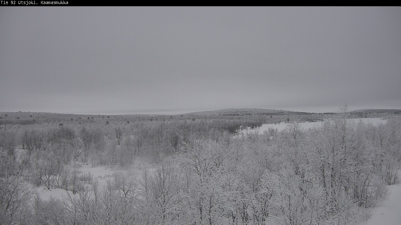 Kelikamerat Kuva Tie 92 Utsjoki, Kaamasmukka, Utsjoki, Lappi