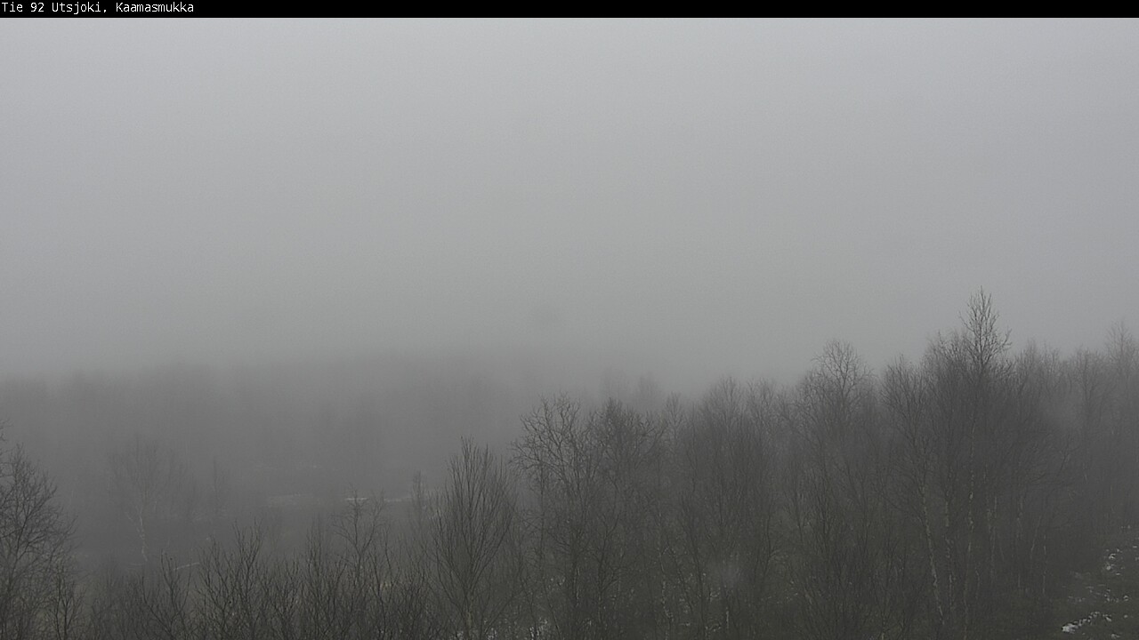 Kelikamerat Kuva Tie 92 Utsjoki, Kaamasmukka, Utsjoki, Lappi