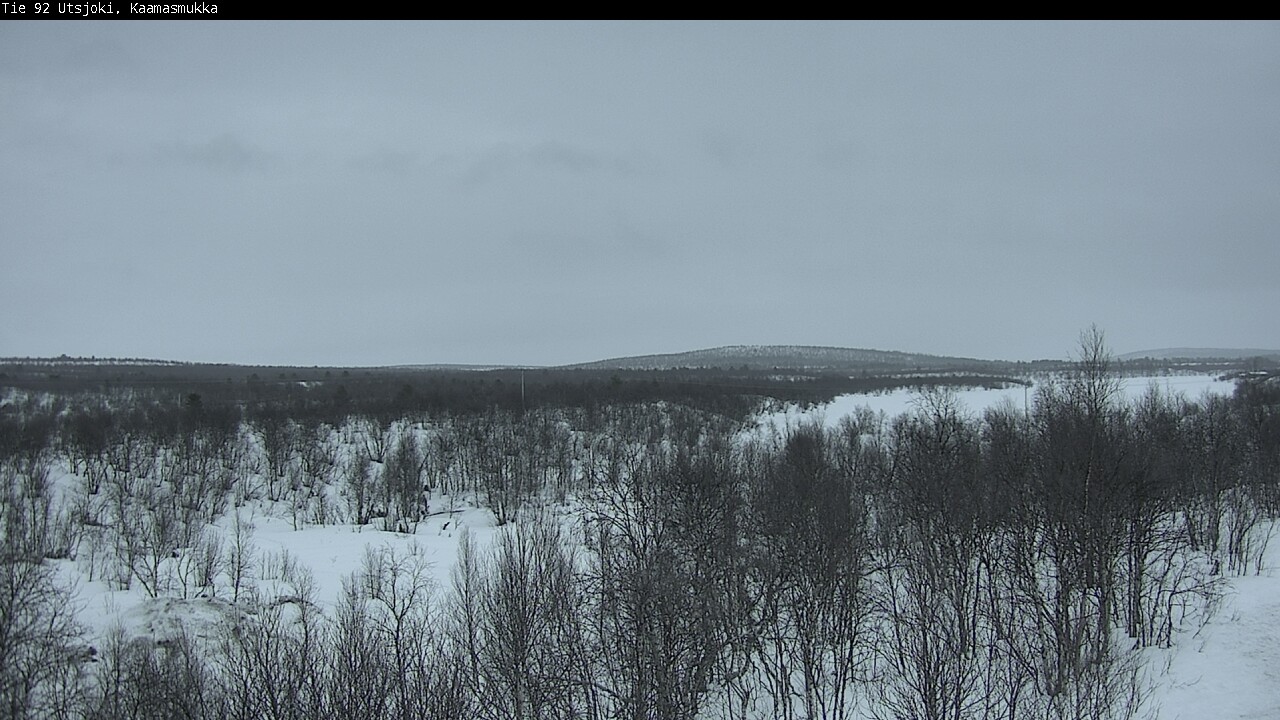 Kelikamerat Kuva Tie 92 Utsjoki, Kaamasmukka, Utsjoki, Lappi