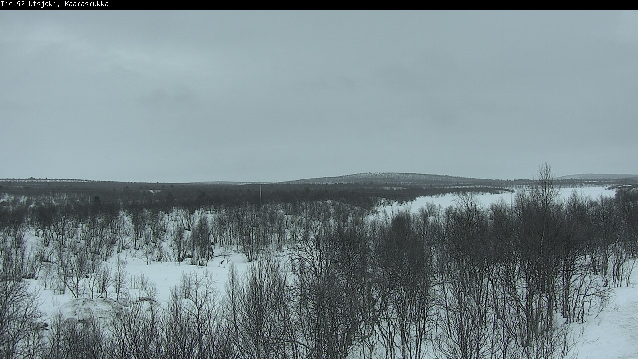 Kelikamerat Kuva Tie 92 Utsjoki, Kaamasmukka, Utsjoki, Lappi