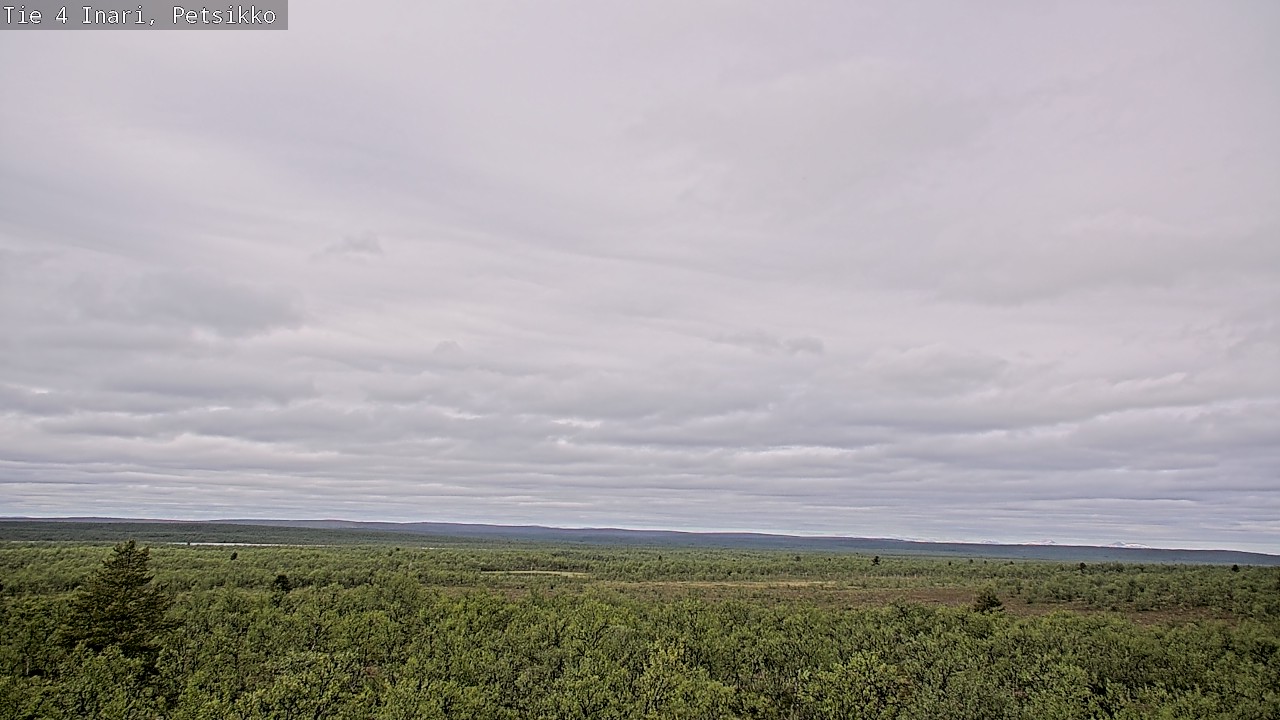 Kelikamerat Kuva Tie 4 Inari, Petsikko, Inari, Lappi