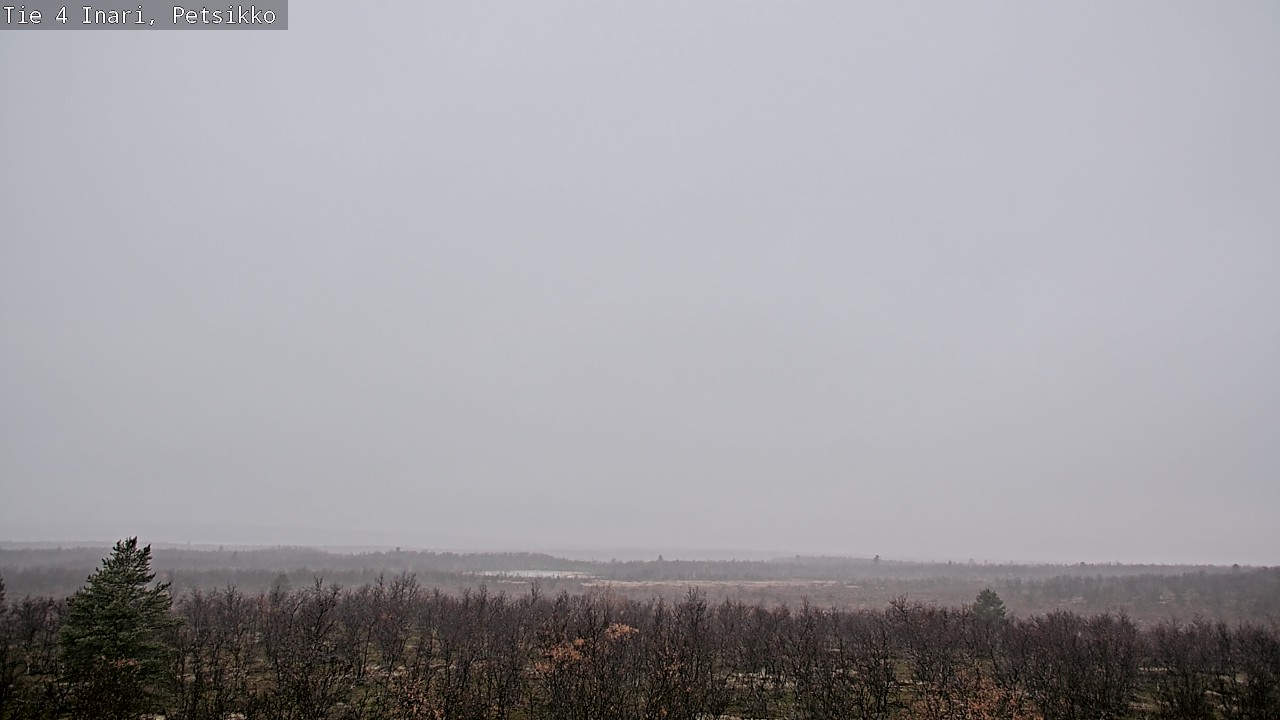 Kelikamerat Kuva Tie 4 Inari, Petsikko, Inari, Lappi