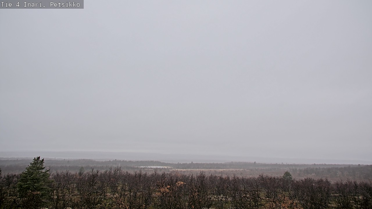 Kelikamerat Kuva Tie 4 Inari, Petsikko, Inari, Lappi