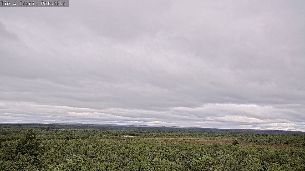 Kelikamerat Kuva Tie 4 Inari, Petsikko, Inari, Lappi