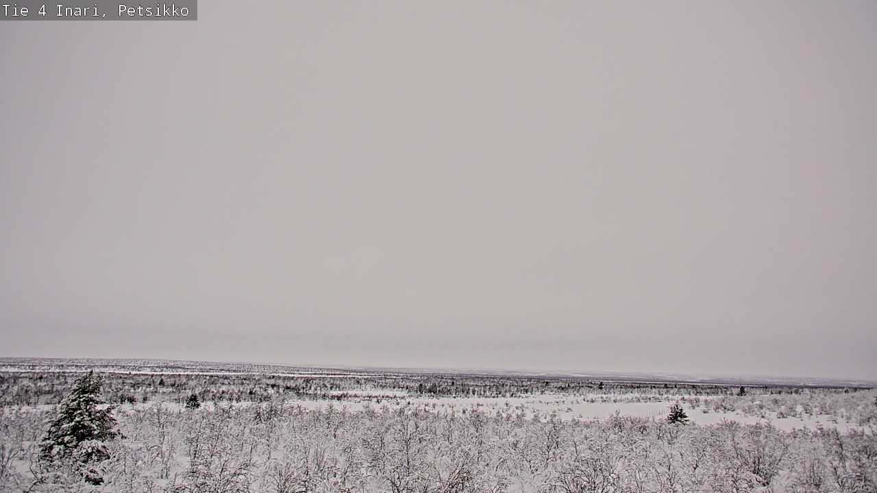 Kelikamerat Kuva Tie 4 Inari, Petsikko, Inari, Lappi