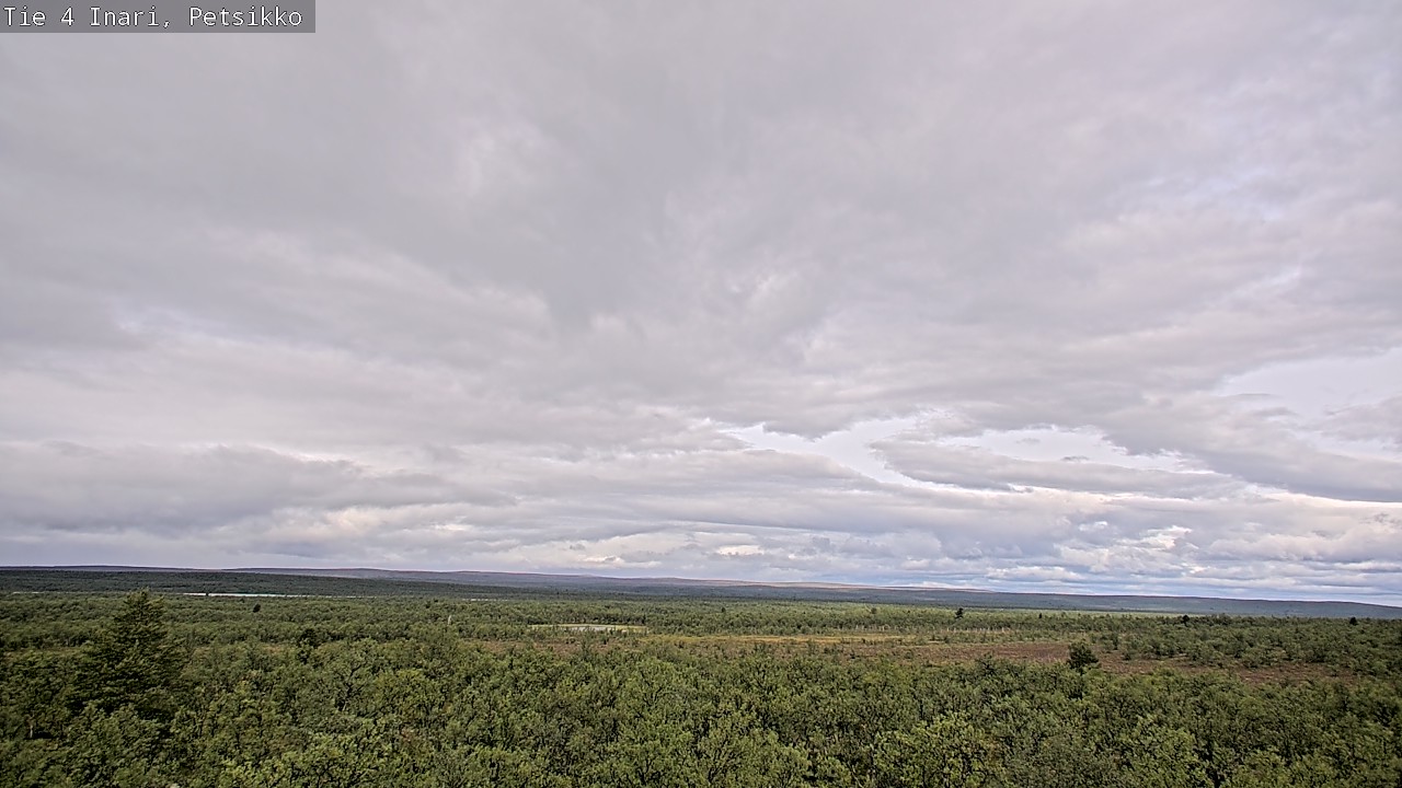 Kelikamerat Kuva Tie 4 Inari, Petsikko, Inari, Lappi