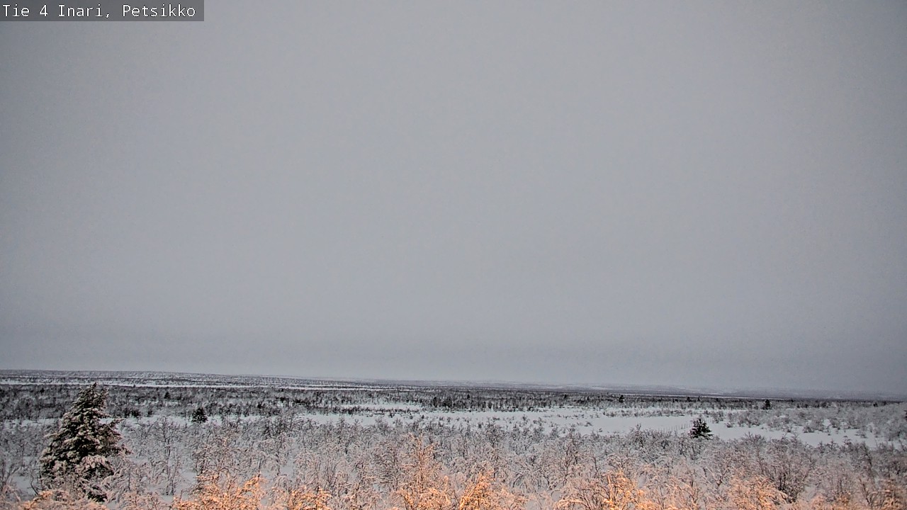 Kelikamerat Kuva Tie 4 Inari, Petsikko, Inari, Lappi