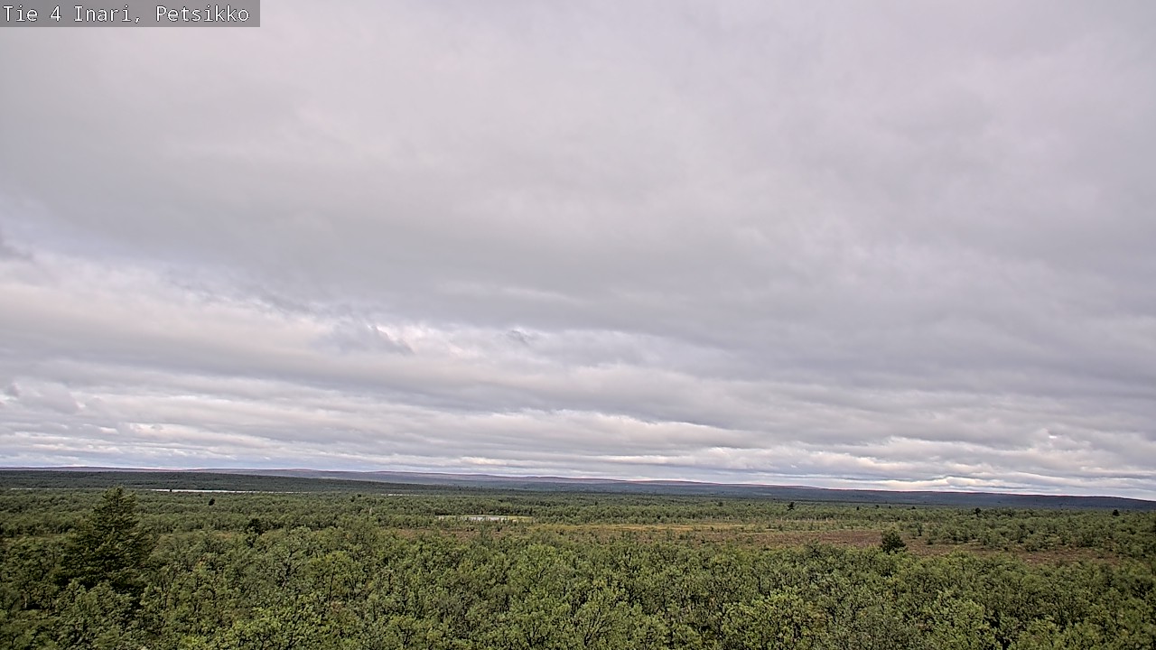 Kelikamerat Kuva Tie 4 Inari, Petsikko, Inari, Lappi