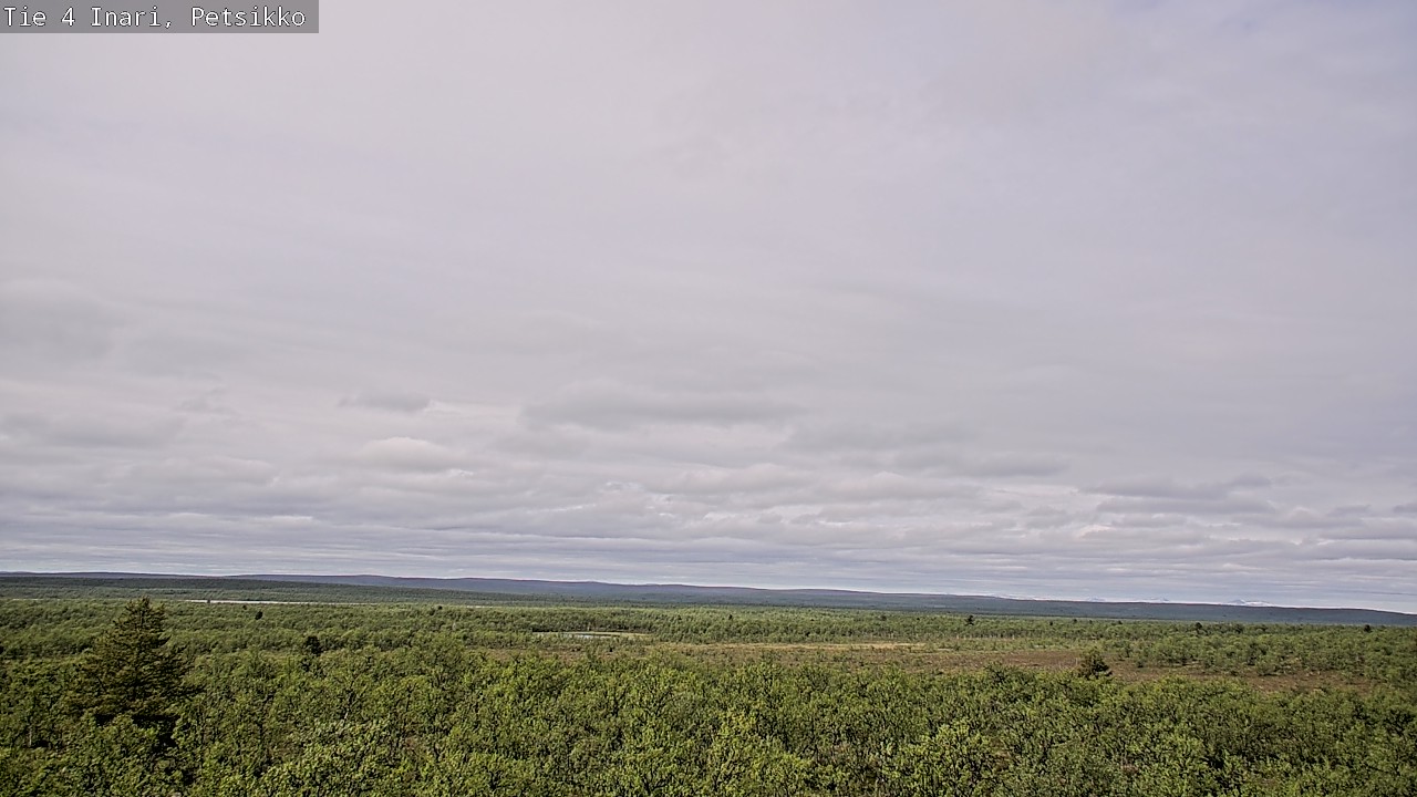 Kelikamerat Kuva Tie 4 Inari, Petsikko, Inari, Lappi