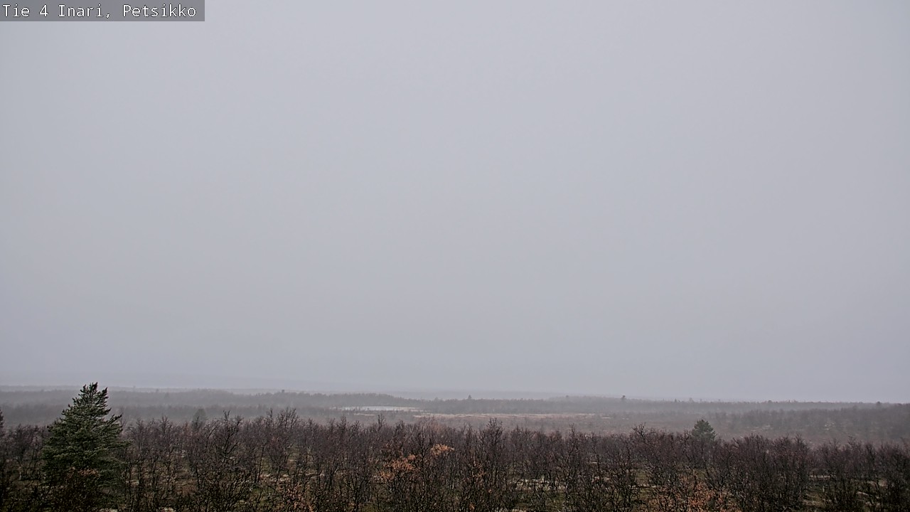 Kelikamerat Kuva Tie 4 Inari, Petsikko, Inari, Lappi
