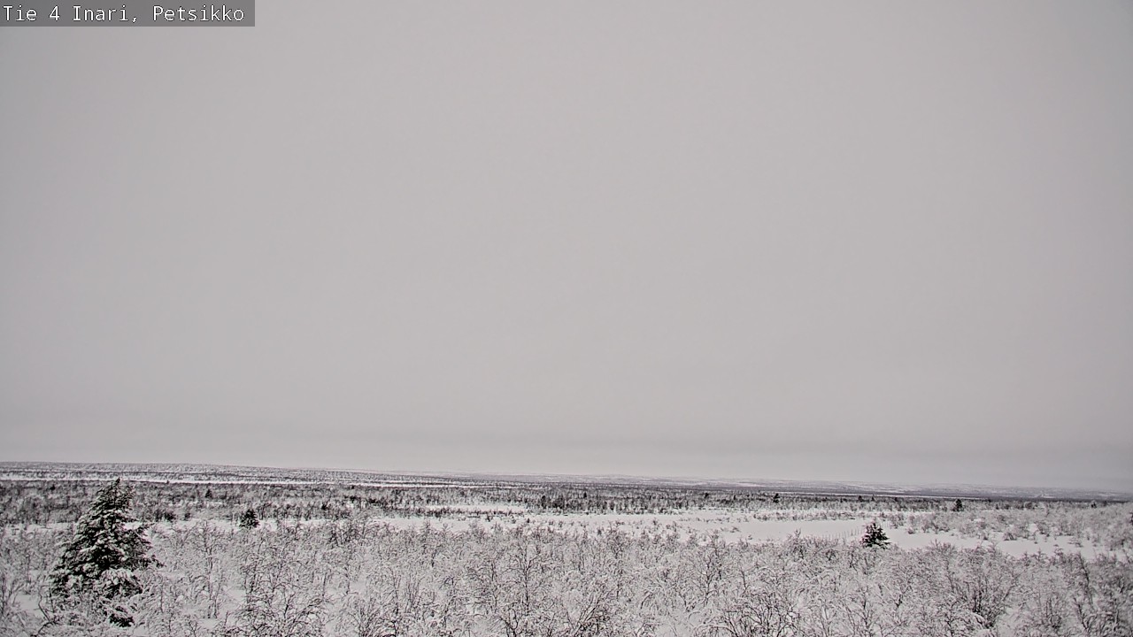 Kelikamerat Kuva Tie 4 Inari, Petsikko, Inari, Lappi