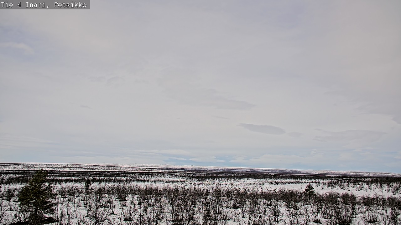 Weather Camera Image Väg 4 Enare, Petsikko, Inari, Lappi